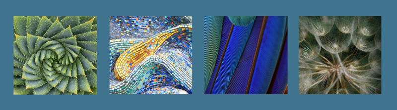 asset owner organisations and ESG