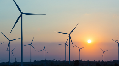 Sustainability hub thumbnail