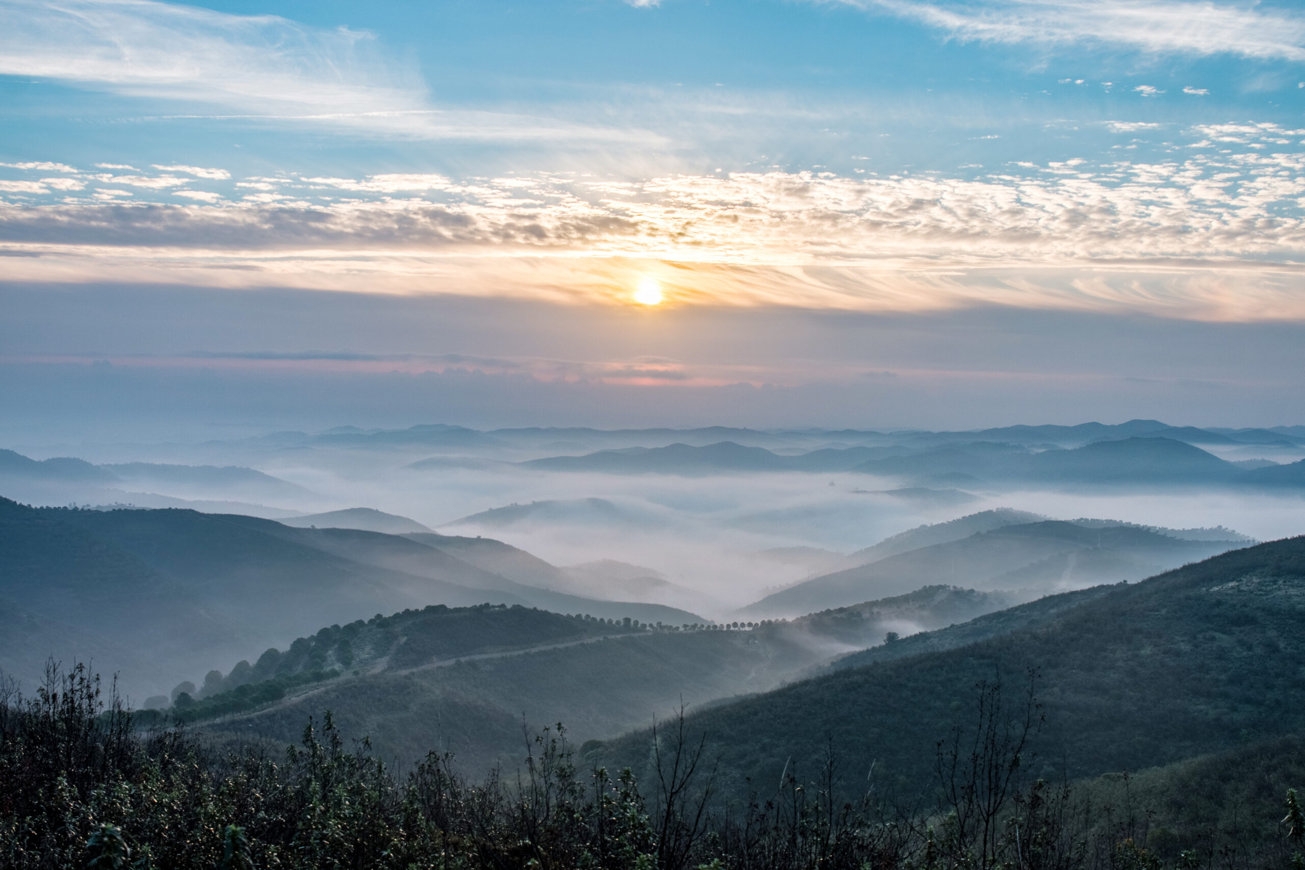 Coronavirus – wider perspectives | Act II