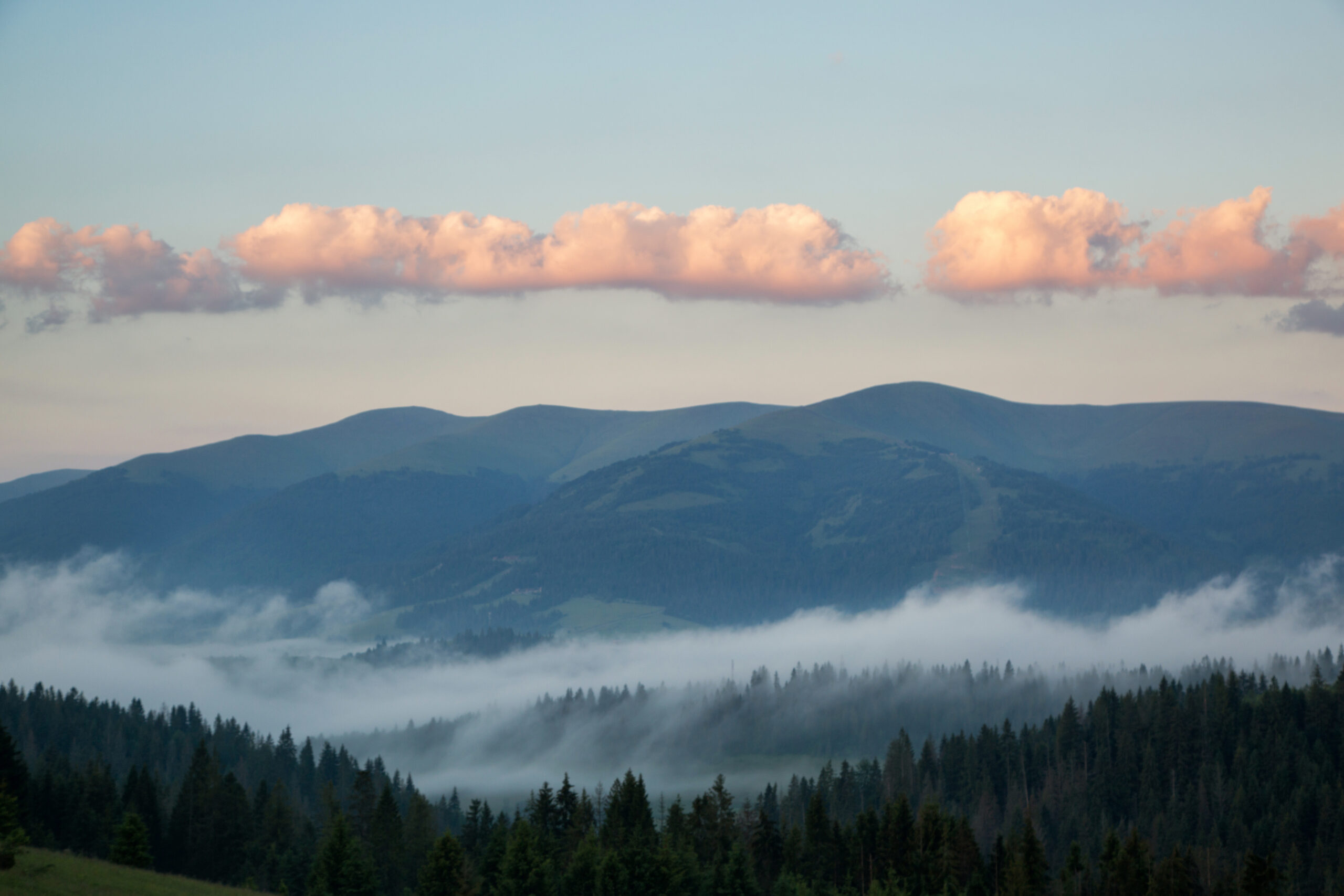 Coronavirus – wider perspectives | Act III