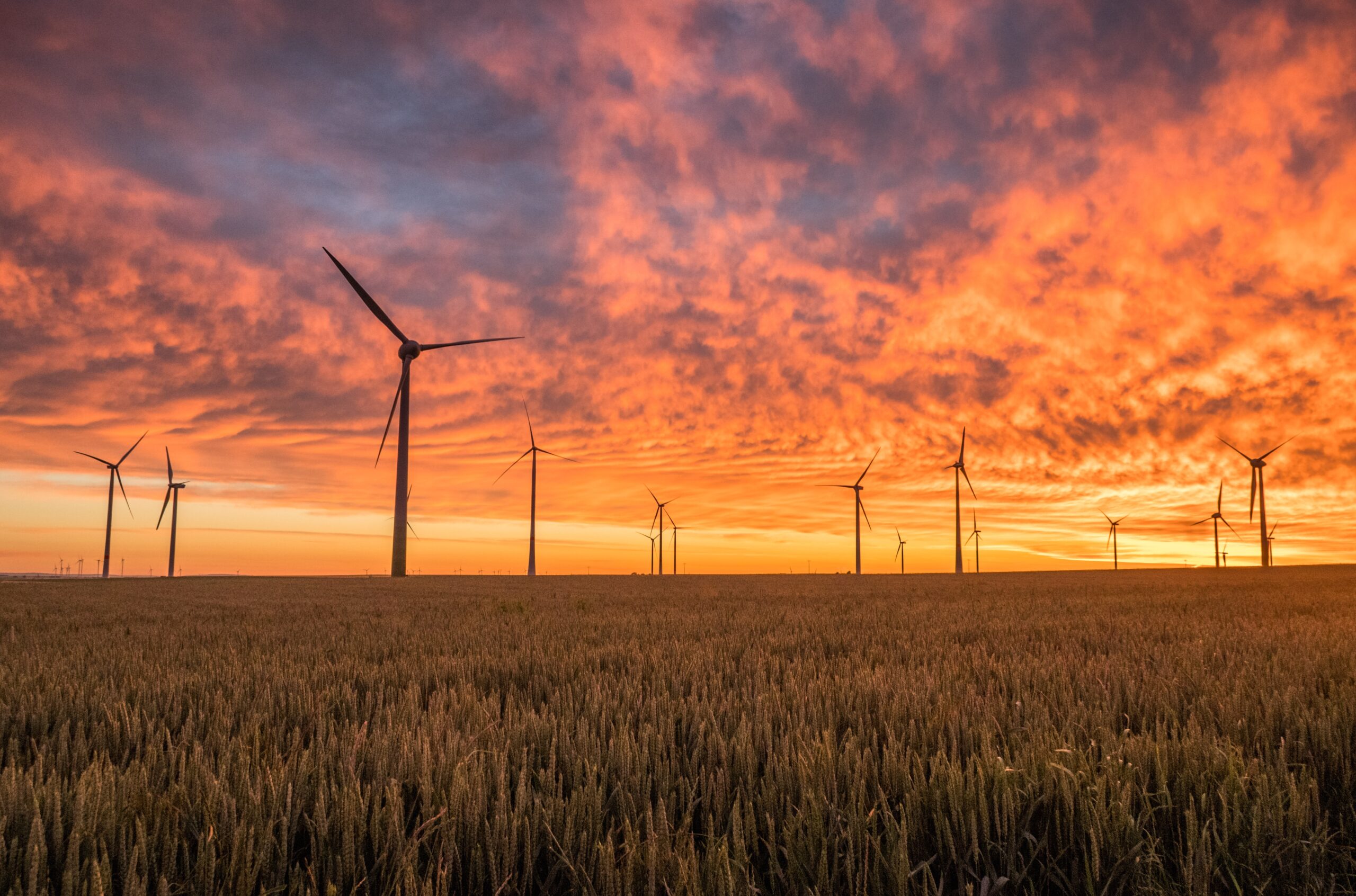 Research header image wind turbines sunrise